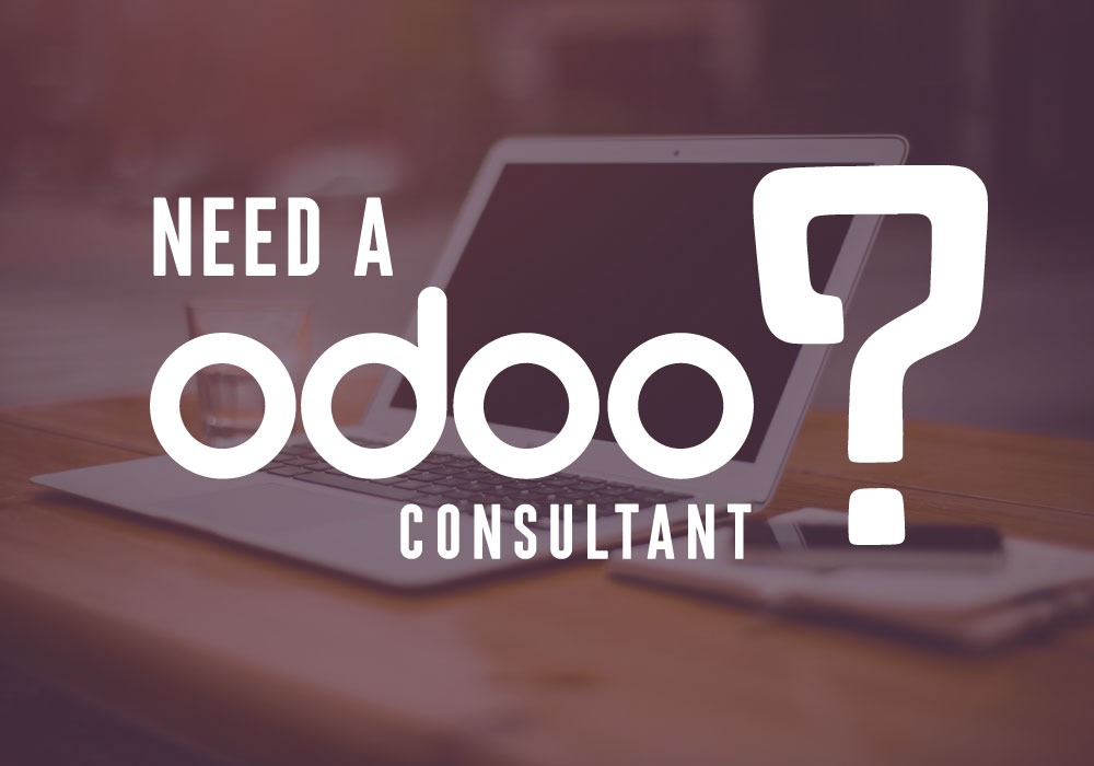need a odoo consultant