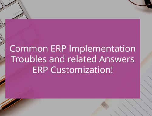 Common ERP Implementation Troubles and related Answers ERP Customization!