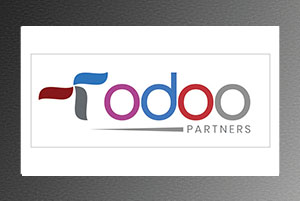 Mr. Abdul Aziz Al Areefi